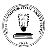 combustion institute
